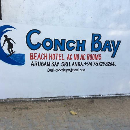 Conch Bay 호텔 아루감 베이 외부 사진