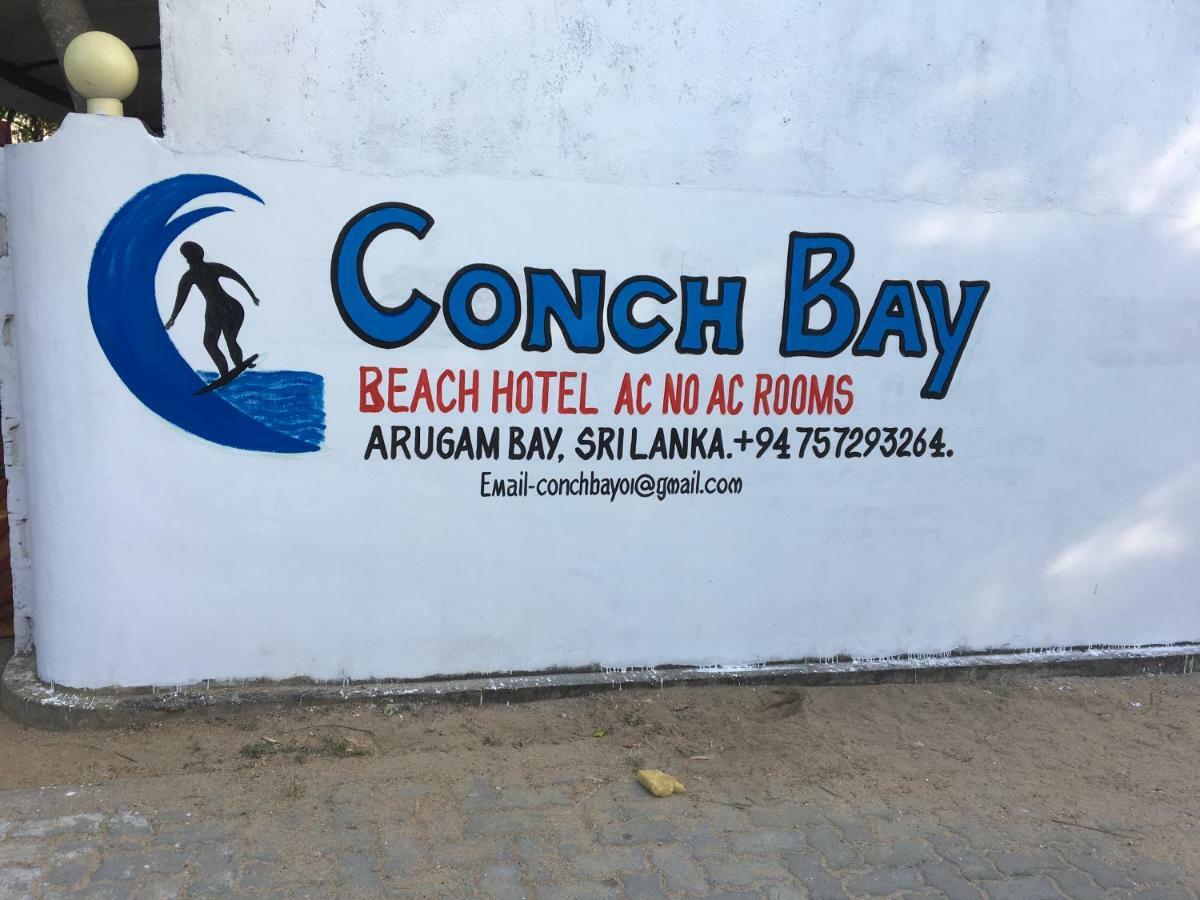 Conch Bay 호텔 아루감 베이 외부 사진